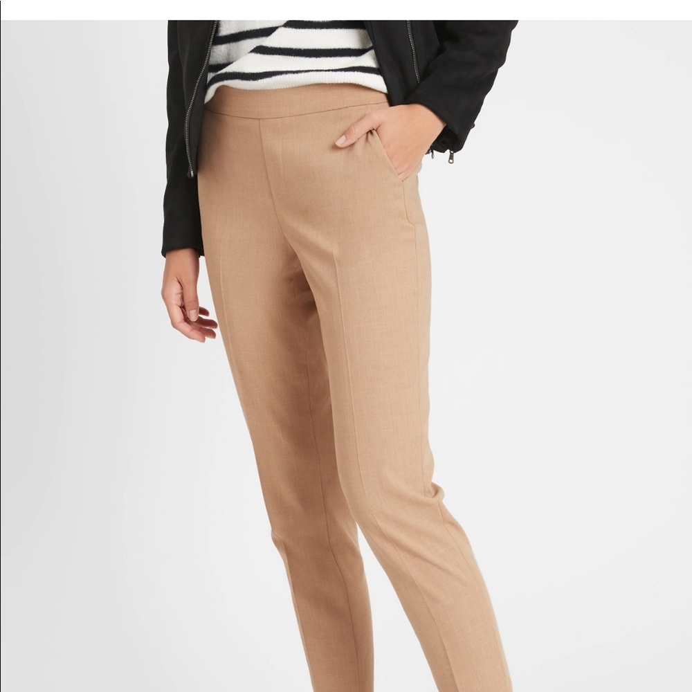 Banana Republic Hayden Pants- NWOT - Sz 2
